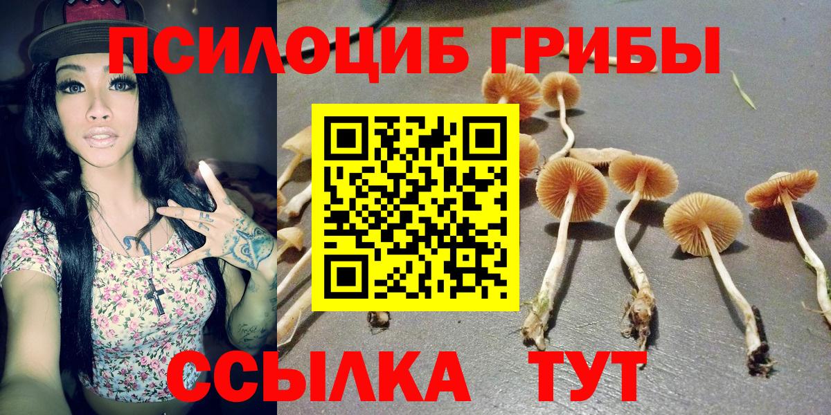 Псилоцибиновые грибы мицелий  Вход с VPN  Джанкой  Псилоцибиновые грибы Magic Shrooms 